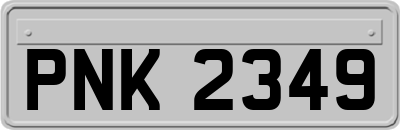 PNK2349