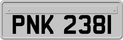 PNK2381