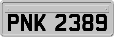 PNK2389