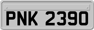 PNK2390