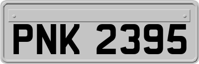 PNK2395