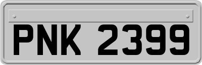 PNK2399