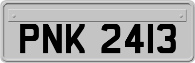 PNK2413