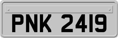PNK2419