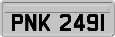 PNK2491
