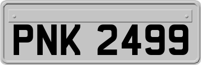 PNK2499
