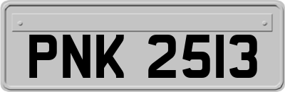 PNK2513