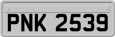 PNK2539