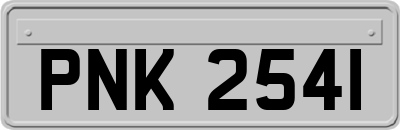 PNK2541