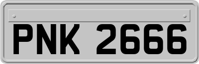 PNK2666