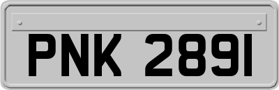 PNK2891