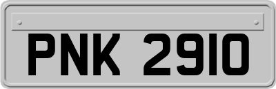 PNK2910