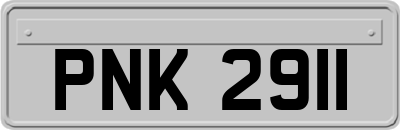 PNK2911