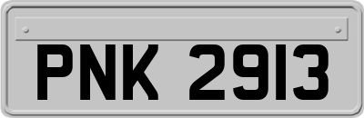 PNK2913