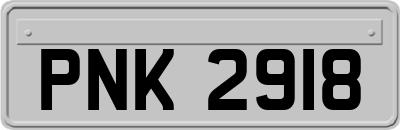PNK2918