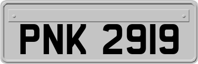 PNK2919