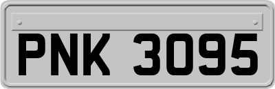 PNK3095