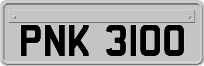 PNK3100