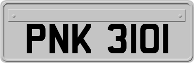PNK3101
