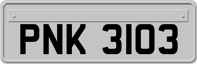 PNK3103