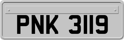 PNK3119