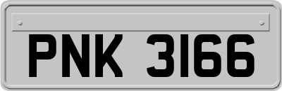 PNK3166