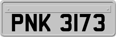 PNK3173