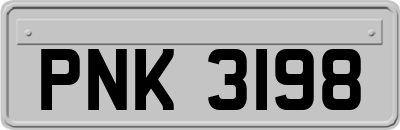PNK3198