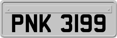 PNK3199