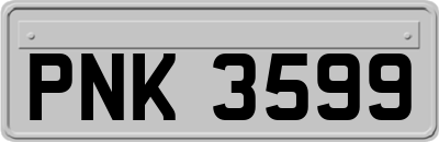 PNK3599