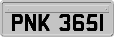 PNK3651