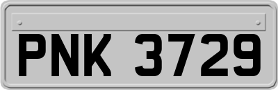 PNK3729