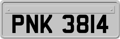 PNK3814