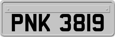 PNK3819
