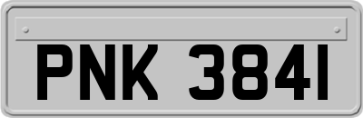 PNK3841