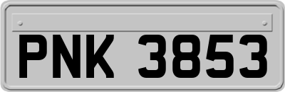 PNK3853