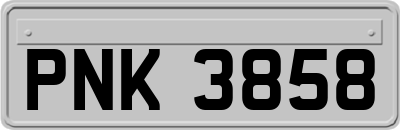 PNK3858