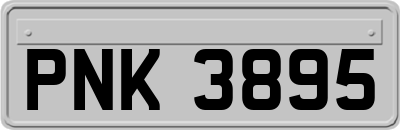 PNK3895