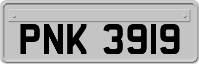 PNK3919