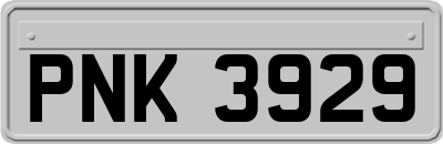 PNK3929
