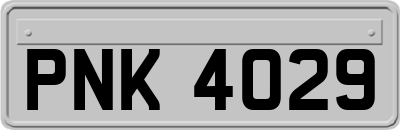 PNK4029