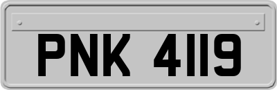 PNK4119