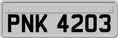 PNK4203