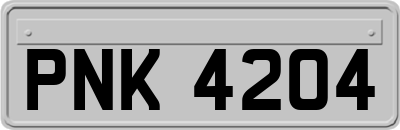 PNK4204