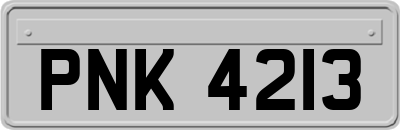 PNK4213