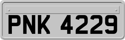 PNK4229