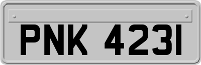 PNK4231