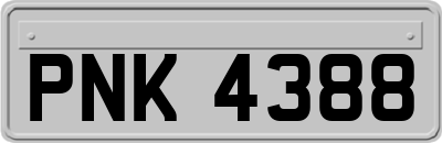 PNK4388