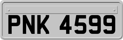 PNK4599