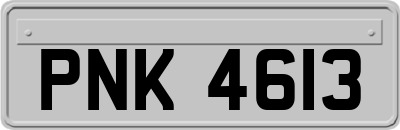 PNK4613